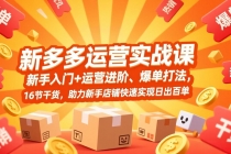 拼多多运营实战课，新手入门+运营进阶、爆单打法，16节干货，助力新手店铺快速实现日出百单-臭虾米项目网