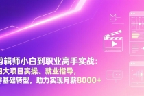 剪辑师小白到职业高手实战：四大项目实操、就业指导，零基础转型，助力实现月薪8000+-臭虾米项目网
