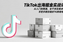 TikTok出海掘金实战课：从入门到精通，全干货实操讲解，手把手教你做好TK跨境电商-臭虾米项目网
