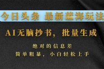 今日头条2026最新蓝海玩法，AI无脑抄书，批量生成，绝对的信息差，简单粗暴，小白轻松上手-臭虾米项目网