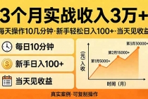 3个月实战收入3万+，每天操作10几分钟，新手轻松日入100+，当天见收益-臭虾米项目网