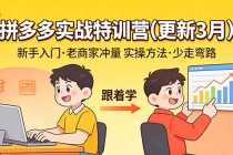 拼多多实战特训营(更新3月)：不管是新手入门或老商家冲量，都有实操方法，跟着学，少走弯路-臭虾米项目网