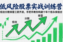 低风险股票实战训练营：低估分散排雷三箭齐发，手把手教你构建十年十倍永续组合-臭虾米项目网