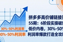 拼多多高价铺链接第55期：6阶段实操破解低价内卷，30%-50%利润率爆款打造全攻略-臭虾米项目网