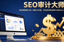 SEO审计大师：教你精通网站分析，修复SEO问题，为有效的审核收费5000美元以上！-臭虾米项目网