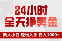 24小时全天挣美金，新人小白轻松入手，长期稳定，日入1000+-臭虾米项目网