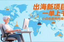 出海新项目，一单上千，小白也能熟练操作-臭虾米项目网