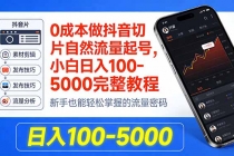 0成本做抖音切片自然流量起号，小白日入100-5000完整教程-臭虾米项目网