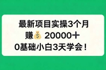 最新项目实操3个月，赚钱20000+，0基础小白3天学会！-臭虾米项目网