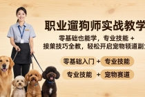 职业遛狗师实战教学：零基础也能学，专业技能 + 接单技巧全教，轻松开启宠物赛道副业-臭虾米项目网