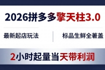 2026拼多多擎天柱 3.0-更新4月20：最新起店玩法，标品生鲜全覆盖，2小时起量当天带利润-臭虾米项目网