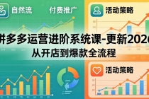 拼多多运营进阶系统课-更新2026：从开店到爆款全流程，自然流+付费推广+活动策略-臭虾米项目网