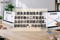 拼多多原创技术课：手把手教小二开直通车，从出价计算到模式搭建，破解低投产、冷启动难题-臭虾米项目网