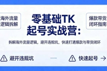 零基础 TK 起号实战营：拆解海外流量逻辑，避开违规坑，快速打通爆款与带货闭环-臭虾米项目网