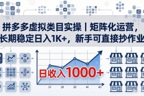 拼多多虚拟类目实操｜矩阵化运营，长期稳定日入 1K+，新手可直接抄作业-臭虾米项目网