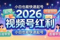 2026视频号红利实战营，大佬亲授起号、内容、直播、IP、投流、私域、矩阵全套落地打法-臭虾米项目网