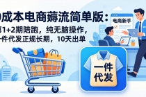 0成本电商薅流简单版：第1+2期陪跑，纯无脑操作，一件代发正规长期，10天出单-臭虾米项目网