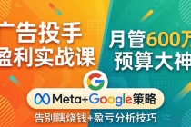广告投手盈利实战课:月管600万预算大神,带你告别瞎烧钱,Meta+Google策略+盈亏分析-臭虾米项目网