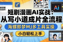 短剧漫画AI实战：从写小说到成片全流程，海螺即梦MJ多工具实操，小白轻松上手-臭虾米项目网