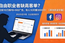 自由职业者缺高客单？日投 10 刀搞 FB+INS 广告，有人 10 天赚 3000 刀！【原创双语字幕】-臭虾米项目网