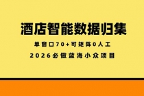 酒店智能数据归集，小众蓝海已经稳定半年之久，单窗口70+零成本矩阵开干-臭虾米项目网