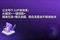 公众号个人IP全体系：AI提效+一键排版+精准引流+爆文选题，稳在流量池不掉池秘诀-臭虾米项目网
