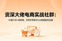 资深大佬电商实战社群:30篇干货+视频课,手把手带新手从0搭建盈利店铺-臭虾米项目网