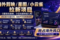 海外剪映 / 星图 / 小云雀拉新项目 普通人也能上手的跨境流量变现副业-臭虾米项目网