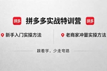 拼多多实战特训营(更新5月3)：不管是新手入门或老商家冲量，都有实操方法，跟着学，少走弯路-臭虾米项目网