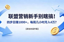 联盟营销新手别瞎搞！四步日赚 1000+，每周几小时月入 4 万？【原创双语字幕】-臭虾米项目网