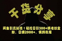 价值6980的干货分享,闲鱼引流秘技!轻松日引300+精准创业粉,2年翻身实现财务自由-臭虾米项目网