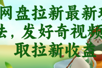 网盘拉新最新玩法，发好奇视频获取拉新收益-臭虾米项目网