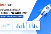 拼多多60期直通车原创技术：极速起量+计划矩阵群爆+全店托管，投产不稳的终极解法-臭虾米项目网