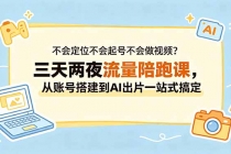 不会定位不会起号不会做视频？三天两夜流量陪跑课，从账号搭建到AI出片一站式搞定-臭虾米项目网