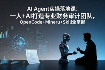 AI Agent实操落地课：一人+AI打造专业财务审计团队，OpenCode+Mineru+Skill全掌握-臭虾米项目网