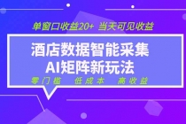 2026酒店数据采集ai智能矩阵新风口  低成本   高收益   当天见收益   单窗口20+-臭虾米项目网