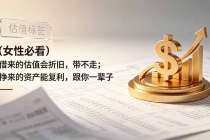 付费文章：（女性必看）借来的估值会折旧，带不走；挣来的资产能复利，跟你一辈子-臭虾米项目网