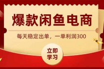 爆款闲鱼电商，卖法简单粗暴，长期稳定可做，一单利润300-臭虾米项目网