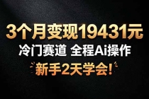 3个月变现19431元，冷门赛道 全程Ai操作，新手2天学会！-臭虾米项目网