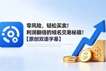 零风险，轻松买卖！利润翻倍的域名交易秘籍！【原创双语字幕】-臭虾米项目网