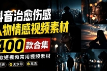 爆款短视频常用视频素材!抖音治愈伤感人物情感视频素材,400款合集,无声无水印,视频感氛围拉满-臭虾米项目网