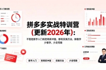 拼多多实战特训营(更新2026年)：不管是新手入门或老商家冲量，都有实操方法，跟着学，少走弯路-臭虾米项目网