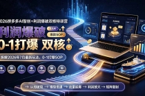 2026拼多多AI智创+利润爆破双核特训营-拆解2026年7月最新玩法，0-1打爆SOP-臭虾米项目网