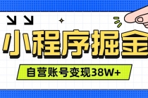 微信小程序掘金,团队自营小程序累计变现38W+,稳定运营三年,一部手机即可操作-臭虾米项目网