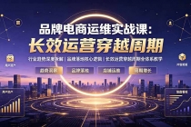 品牌电商运维实战课：行业趋势深度拆解｜品牌落地核心逻辑｜长效运营穿越周期全体系教学-臭虾米项目网