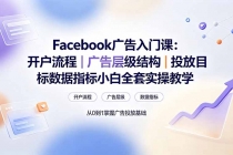 Facebook广告入门课:开户流程|广告层级结构|投放目标数据指标小白全套实操教学-臭虾米项目网