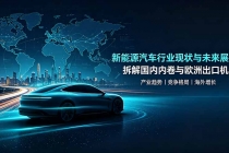 付费文章:新能原车的行业现状和未来展望,拆解国内内卷与欧洲出口机遇-臭虾米项目网