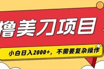 撸美刀,单日收入2000+,小白可做-臭虾米项目网