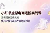 小红书虚拟电商进阶实战课，无需囤货无需发货，依托小红书虚拟产品赚取佣金-臭虾米项目网