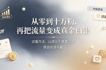从零到十万粉，再把流量变成真金白银——这套方法，让成长不再靠运气【原创双语字幕】-臭虾米项目网